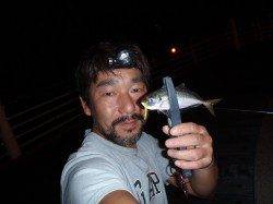 舞洲でのアジング、20cmオーバーのアジも