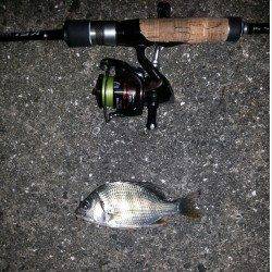 雨上がりの舞洲でチニング&アジング