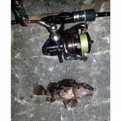 舞洲　ゴミを避けながらのチニングでチヌ＆ガシラ