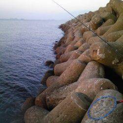 ウキ釣り＆投げ釣りでアナゴとガシラの釣果