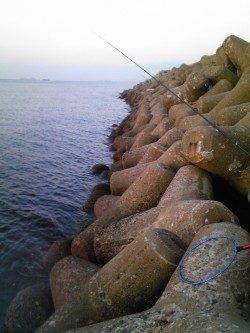 ウキ釣り＆投げ釣りでアナゴとガシラの釣果