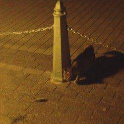 舞洲でアジングが楽しめるってことで人生初めてのアジングに