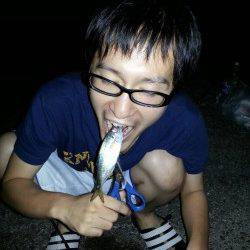 雑賀崎、渋い中アオリ一匹とアジ４匹でした！