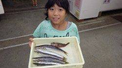 みなべ一本松　フカセ釣りでカマスの釣果