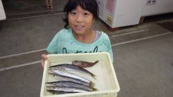 みなべ一本松　フカセ釣りでカマスの釣果