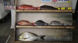 【海が荒れているのでご注意下さい】天神崎に…