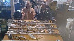 串本萩尾の磯　フカセ釣りでイサギ〜33cm26尾