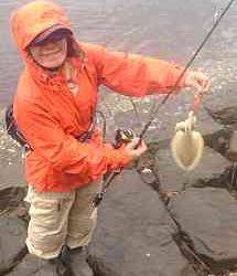 強風のため風裏でエギング、ボトムを探ってイカGET！