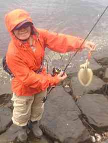 強風のため風裏でエギング、ボトムを探ってイ…