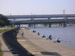 老若男女お手軽ターゲット “ハゼ”【中本嗣通氏連載記事No.19】