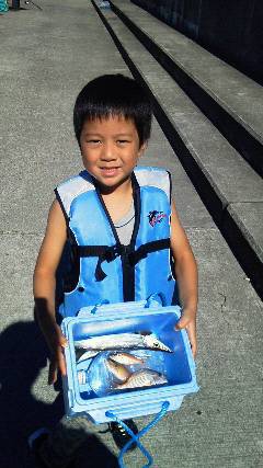 田辺芳養堤防でのKIDS釣果、チャリコ、ガ…