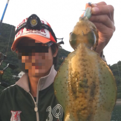 沖の底の良アオリを狙って…狙いどおり連続HIT！