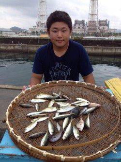 マリーナシティ海釣り公園　サビキでアジ〜15cm30尾の釣果☆