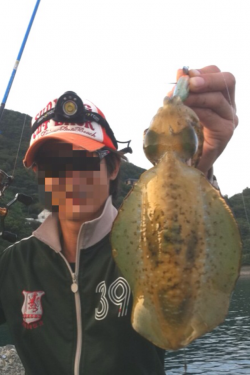 沖の底の良アオリを狙って…狙いどおり連続HIT！