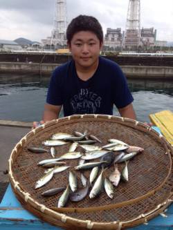 マリーナシティ海釣り公園　サビキでアジ〜1…
