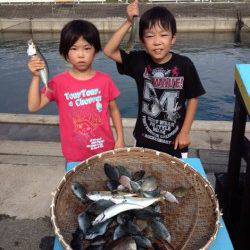 マリーナシティ海釣り公園　サビキ＆飛ばしサビキで良型アジ！