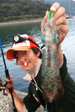 沖の底の良アオリを狙って…狙いどおり連続HIT！