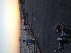 南芦屋浜、ルアーでサバとミニタチウオ