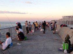 カンパリレポート　貝塚プール周辺も多数のファミリー