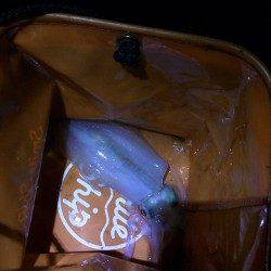 アジュール舞子～西舞子　大潮で期待の釣行も渋めのエギング