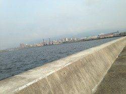 西宮浜でのワインド、なんとこ一匹キャッチ