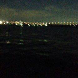 メーターオーバーも目撃！　西宮でタチウオワインド