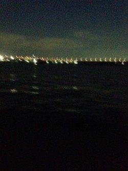 メーターオーバーも目撃！　西宮でタチウオワインド