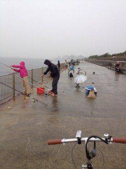 南芦屋浜　AM5時からのショアジギングでサバ☆