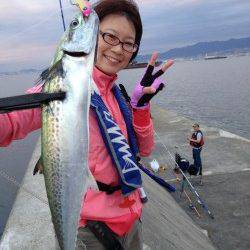 武庫川一文字 ルアーでサゴシ・小サバ