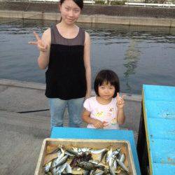 マリーナシティ海釣り公園　サビキは魚種豊富に楽しめますよ☆