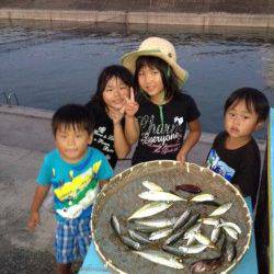 マリーナシティ海釣り公園　サビキは魚種豊富に楽しめますよ☆