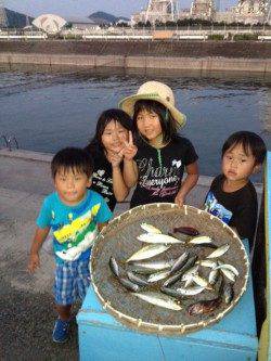 マリーナシティ海釣り公園　サビキは魚種豊富に楽しめますよ☆