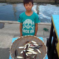 マリーナシティ海釣り公園、サビキと胴突きでの釣果☆