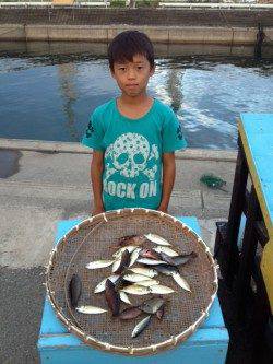 マリーナシティ海釣り公園、サビキと胴突きでの釣果☆
