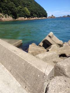 竹野港でエギング　持ち帰りサイズは2ハイ