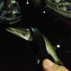 樽井漁港、仕事帰りのアジング釣果