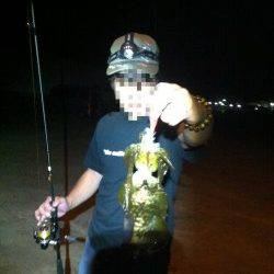 小浦漁港でのエギング、底でのヒットでした