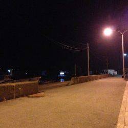 淡輪漁港でアジング、10〜15cmのアジが20匹以上釣れました