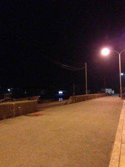 淡輪漁港でアジング、10〜15cmのアジが20匹以上釣れました