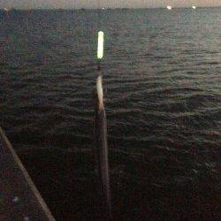 仕事終わりのタチウオ釣りがおすすめ！