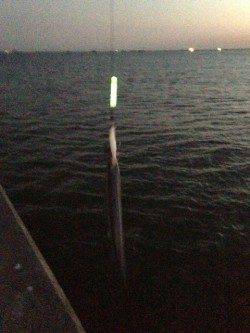 仕事終わりのタチウオ釣りがおすすめ！