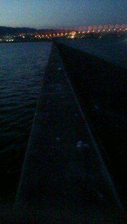 西宮浜タチウオシーズンに突入！