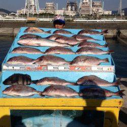 マリーナシティ海洋釣り堀　マダイ・メジロに加えイシダイも