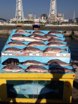 マリーナシティ海洋釣り堀　マダイ・メジロに…