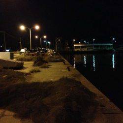 淡輪漁港でアジング、20cm以上が釣れ出すのはもう少し先のよう