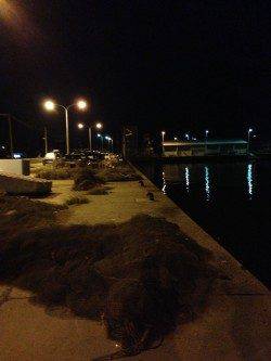 淡輪漁港でアジング、20cm以上が釣れ出すのはもう少し先のよう