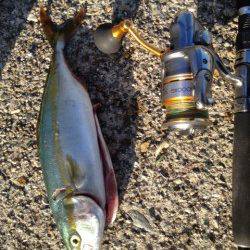 大蔵海岸、ショアジギングで6時半ごろシンペンにヒット！