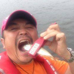 大阪南港、デイアジング釣果