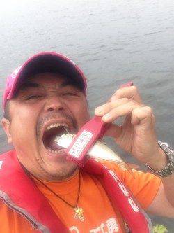 大阪南港、デイアジング釣果