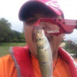 大阪南港、デイアジング釣果